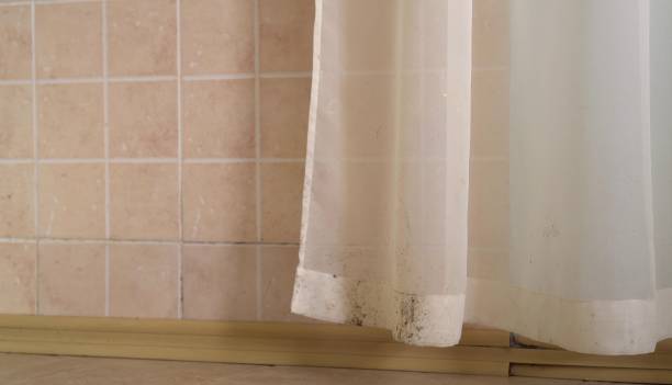 Best Residential Mold Inspection & Testing  in Centerport, NY