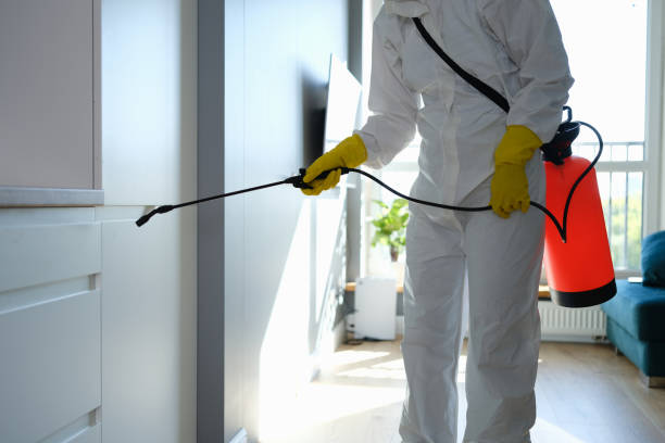 Mold Remediation for Rental Properties in Centerport, NY