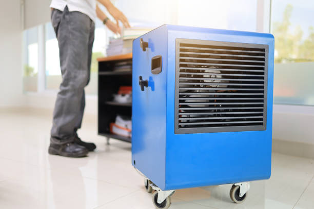 Best Mold Damage Restoration  in Centerport, NY