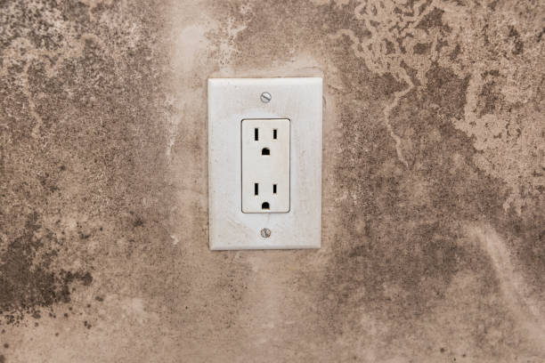 Best Mold Prevention Services  in Centerport, NY